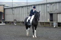 dressage-7247