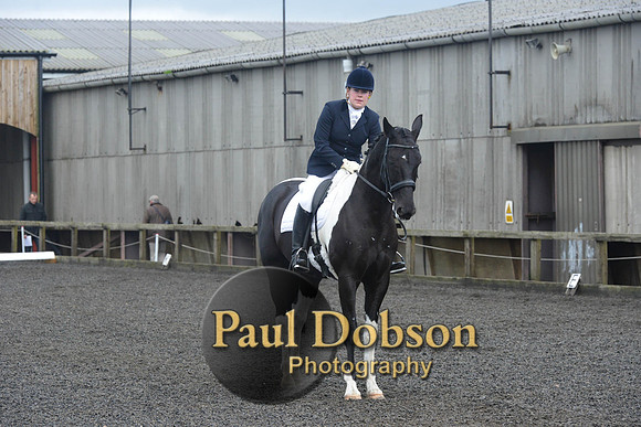 dressage-7247