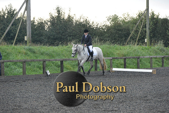 dressage-4539