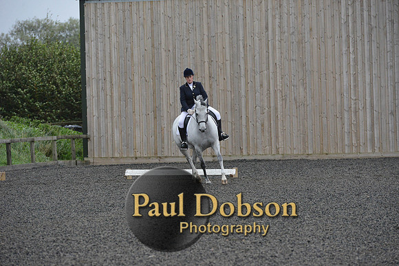 dressage-5971