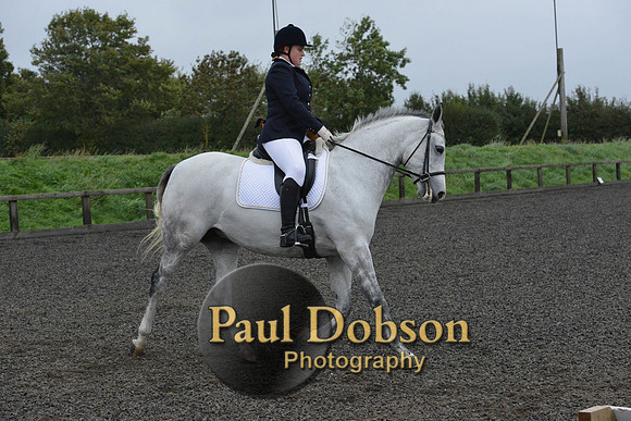 dressage-5966