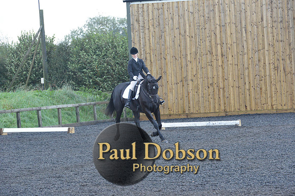 dressage-6849