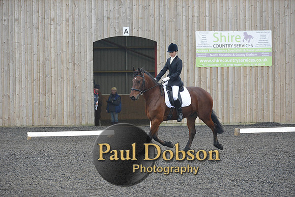 dressage-4930