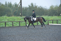 dressage-6457
