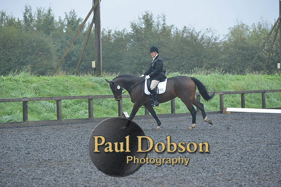 dressage-6457