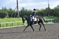 dressage-6857