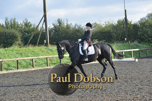 dressage-6857