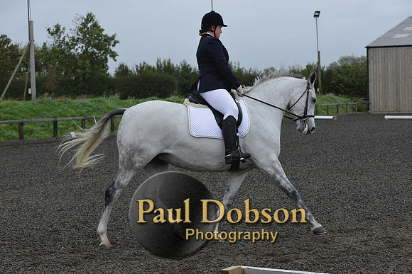 dressage-5967