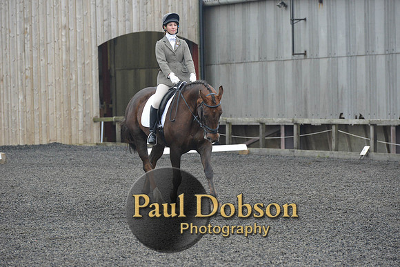 dressage-4892