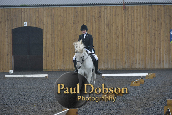 dressage-6487