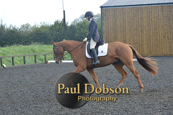 dressage-6801