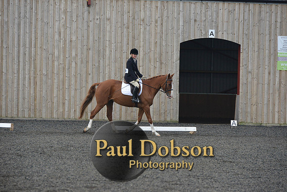 dressage-4524