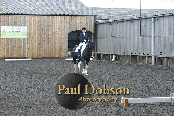 dressage-7240