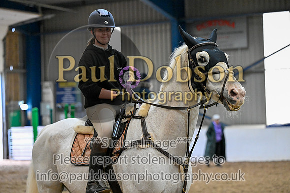 _DAO3666