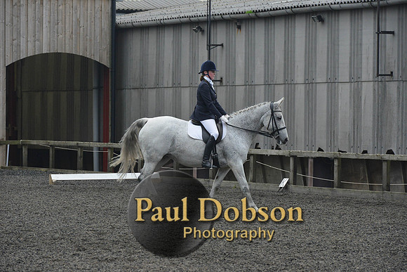 dressage-5733