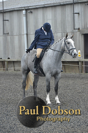 dressage-4927