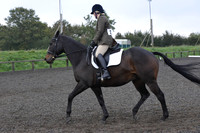 dressage-5180