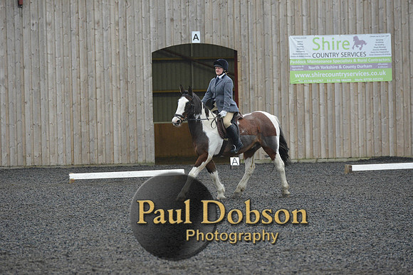 dressage-6327