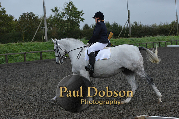 dressage-5959