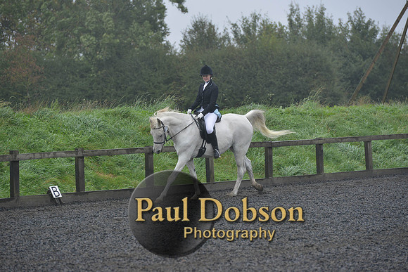 dressage-6495