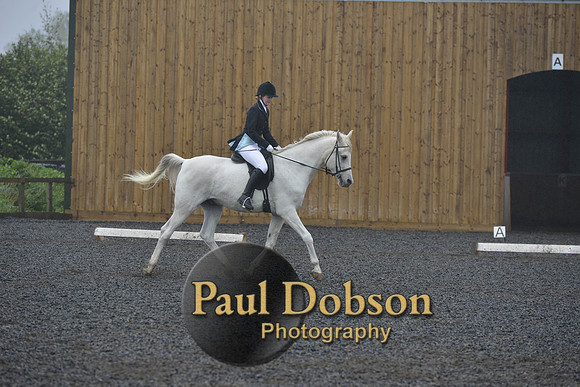 dressage-6490