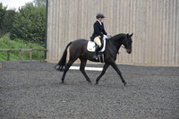 dressage-5164