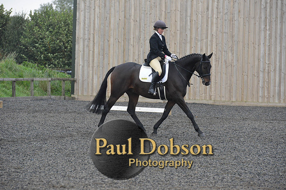 dressage-5164